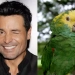 A través de redes sociales se está viralizando el video de un loro que le pidió a Siri que ponga una canción de Chayanne.